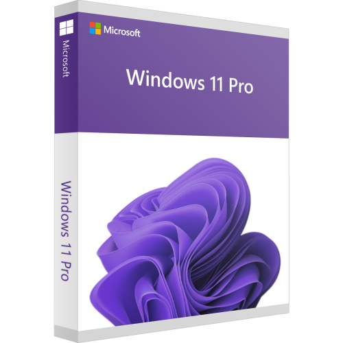 Microsoft Windows 11 Pro Download