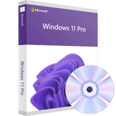 Microsoft Windows 11 Pro inkl. DVD
