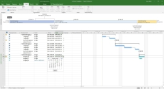 Microsoft Project 2021 Professional - Download 1 PC