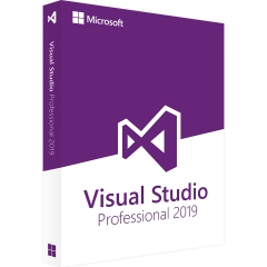 Microsoft Visual Studio 2019 Professional - 1 PC